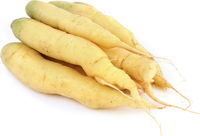 White Carrots
