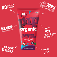 Blackcurrant, Raspberry & Apple Fruit Juice with Spring Water (24 x 180ml)