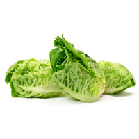 Little Gem Lettuce (2 Pack)