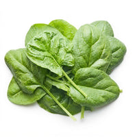Baby Spinach