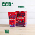 Blackcurrant, Raspberry & Apple Fruit Juice with Spring Water (24 x 180ml)