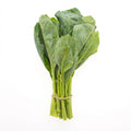 Bunched Spinach