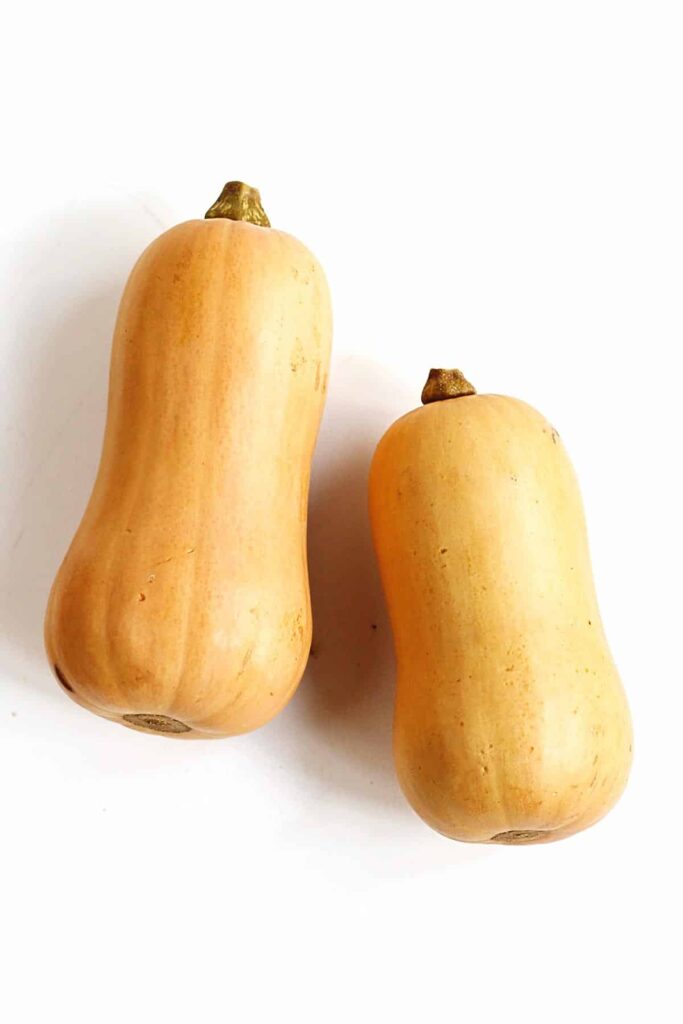 Butternut Squash
