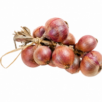 Roscoff Onions
