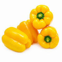 Yellow Pepper