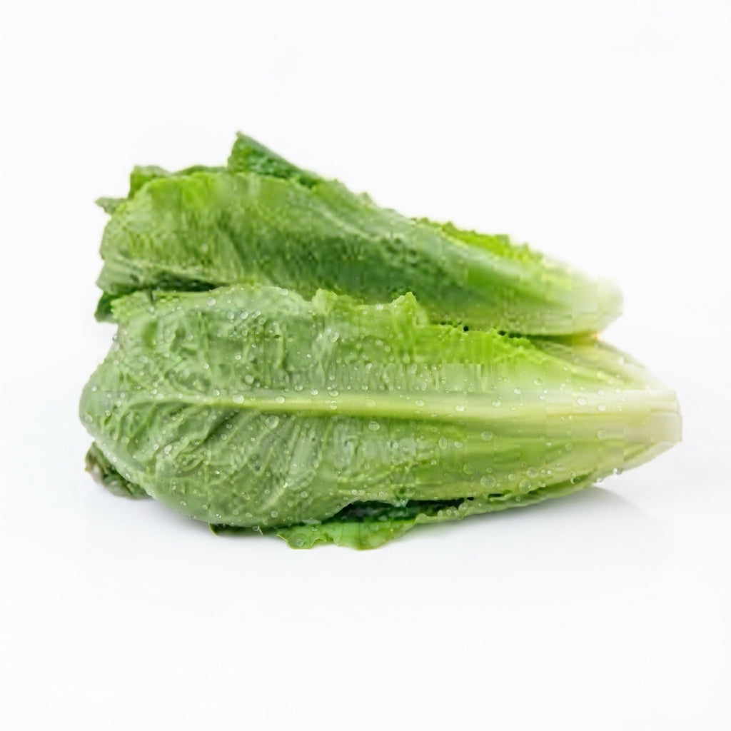 Cos Lettuce