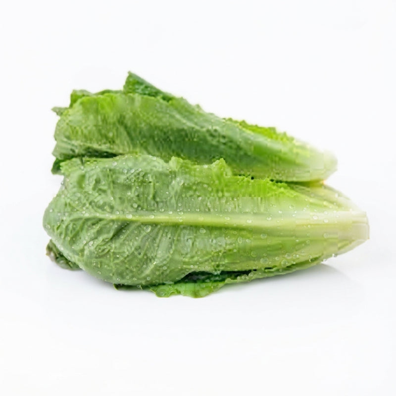 Cos Lettuce