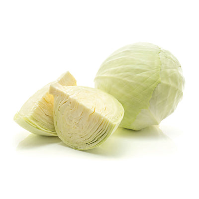 Dutch White Cabbage Large (1.5-2kg)