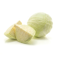 Dutch White Cabbage Large (1.5-2kg)