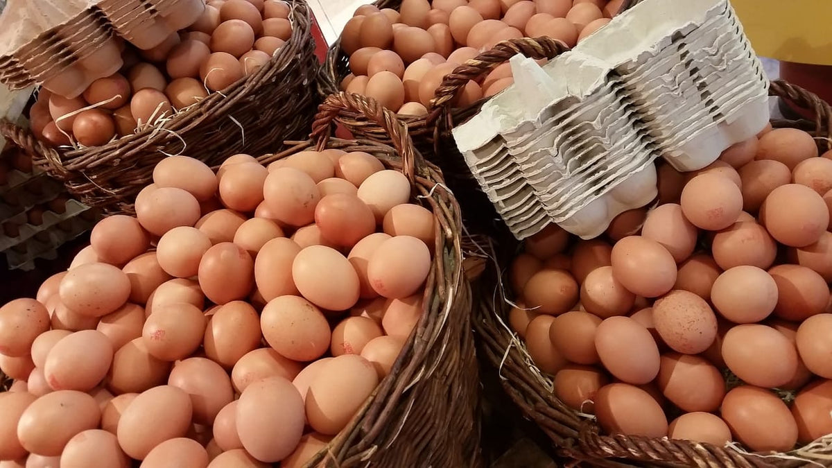 Barradale Eggs