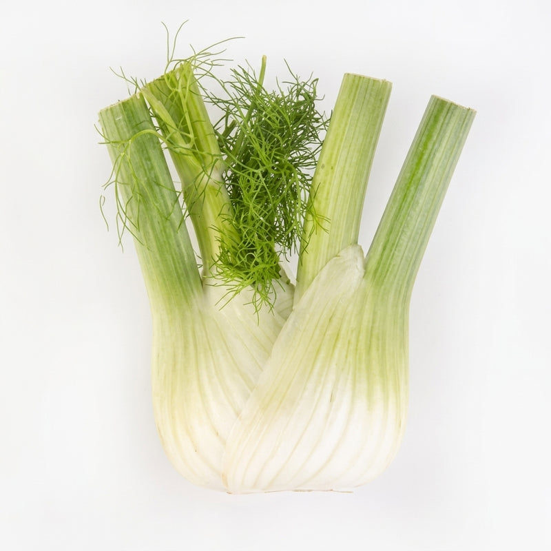 Fennel