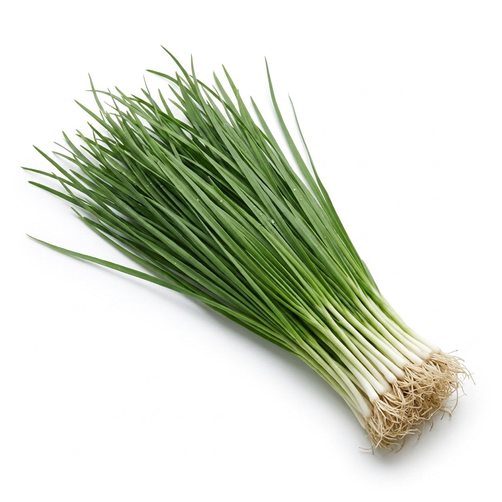 French Leek