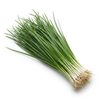 French Leek