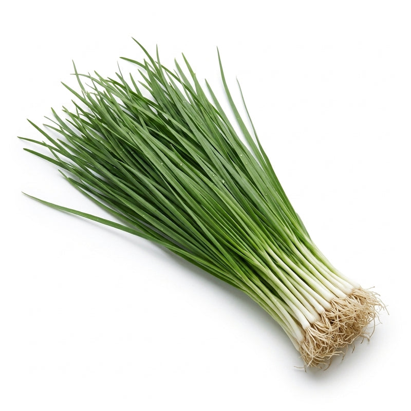French Leek