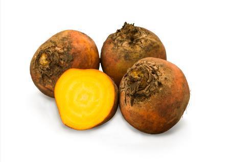Golden Beetroot
