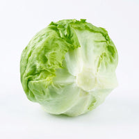 Iceberg Lettuce