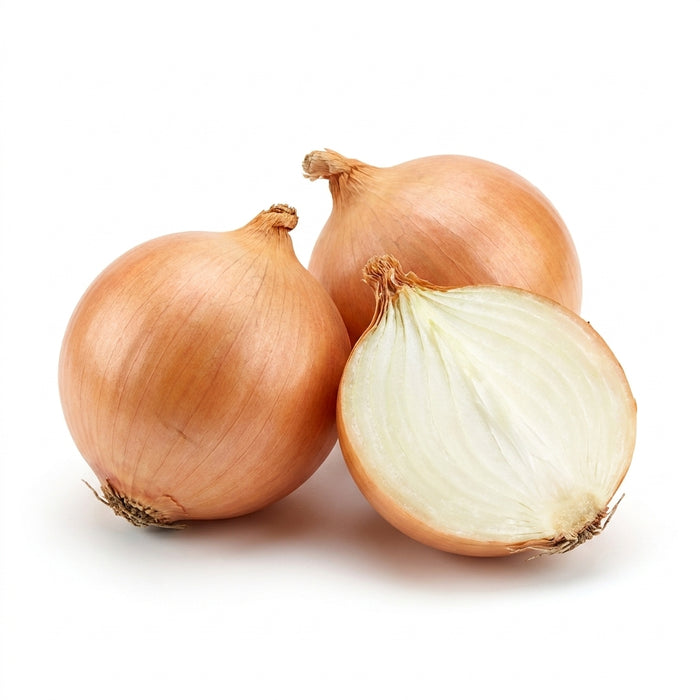 Large Onion