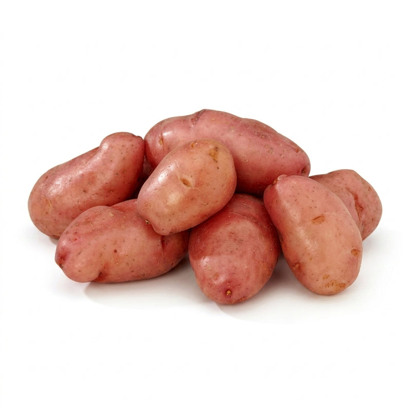 Lincolnshire Washed Red Potatoes