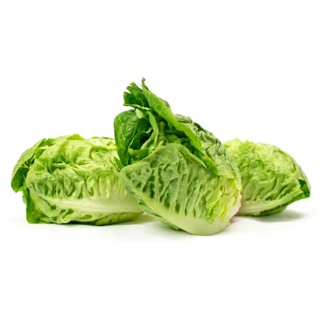 Little Gem Lettuce (2 Pack)