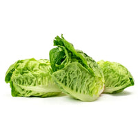 Little Gem Lettuce (2 Pack)