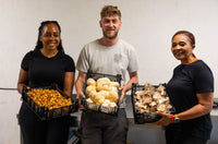 Owley Farm Mushrooms