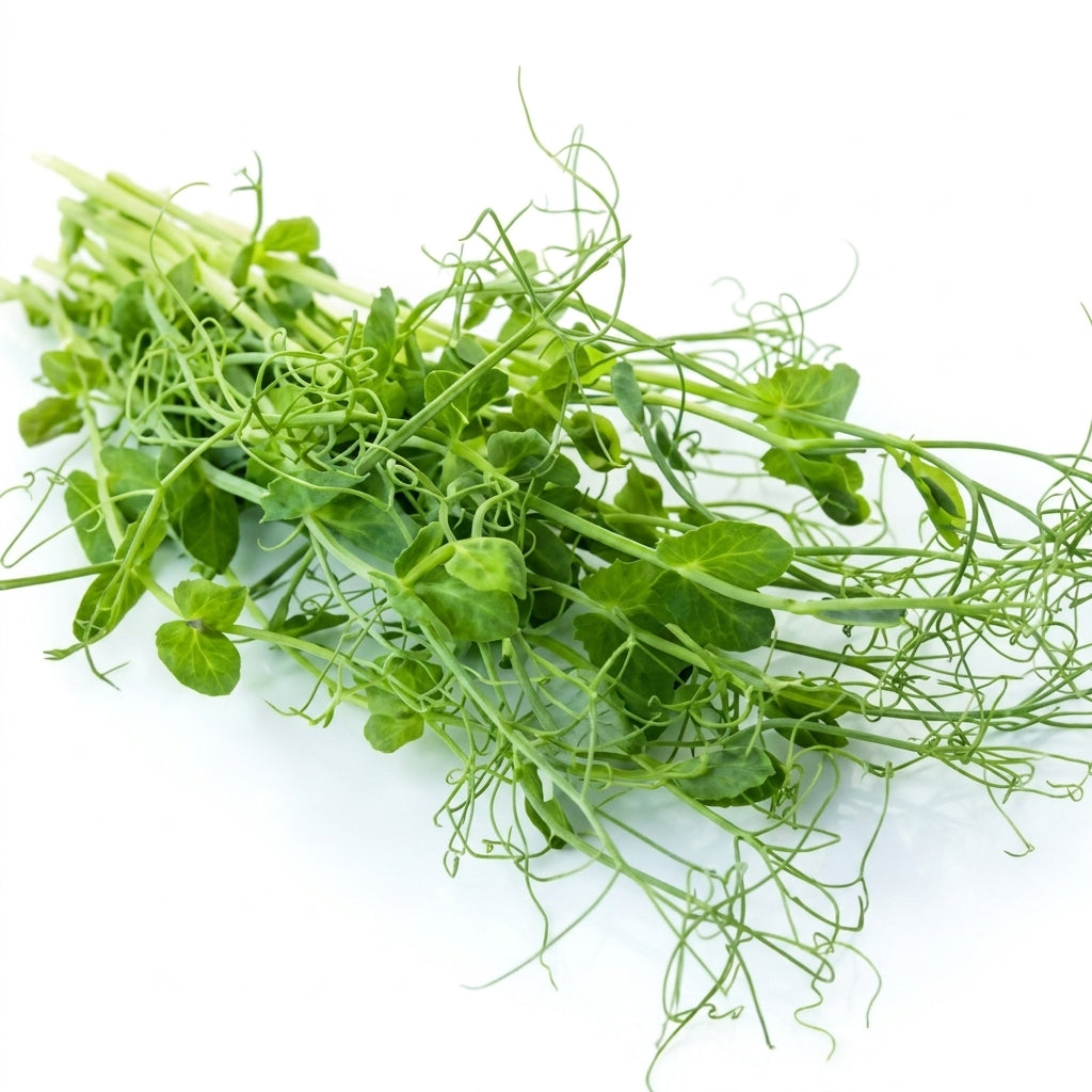 Peashoot Tendril Punnet