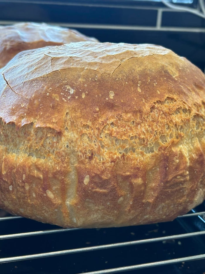 Sourdough Plain Loaf
