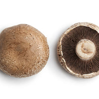 Portobello Mushroom
