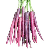 Purple Carrots