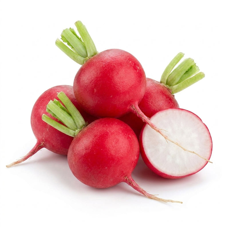 Radish Cone