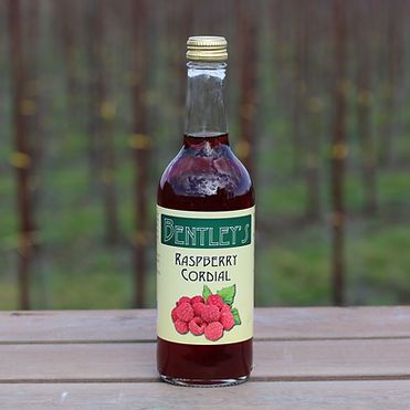 Raw Apple Cider Vinegar with Mother