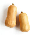 Butternut Squash
