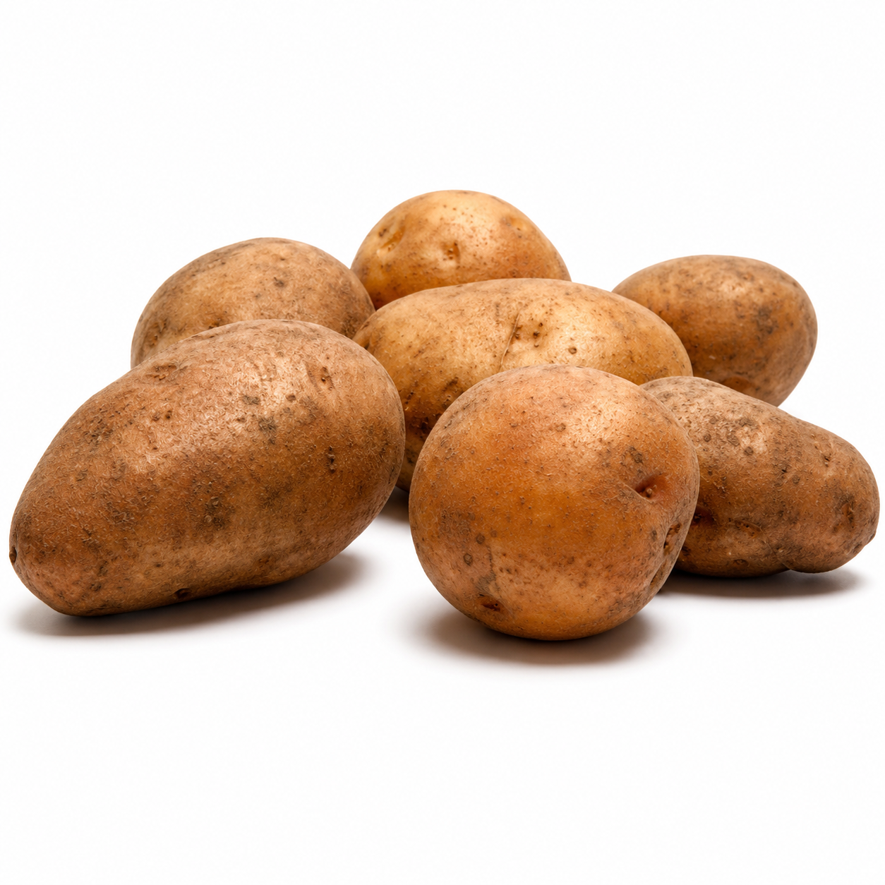 Sagitta Potatoes
