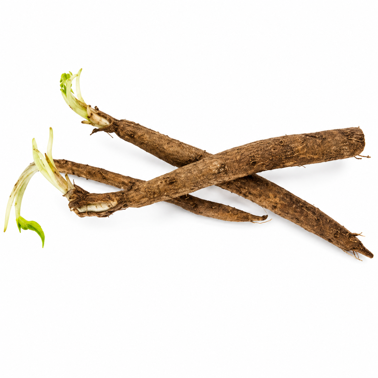 Salsify