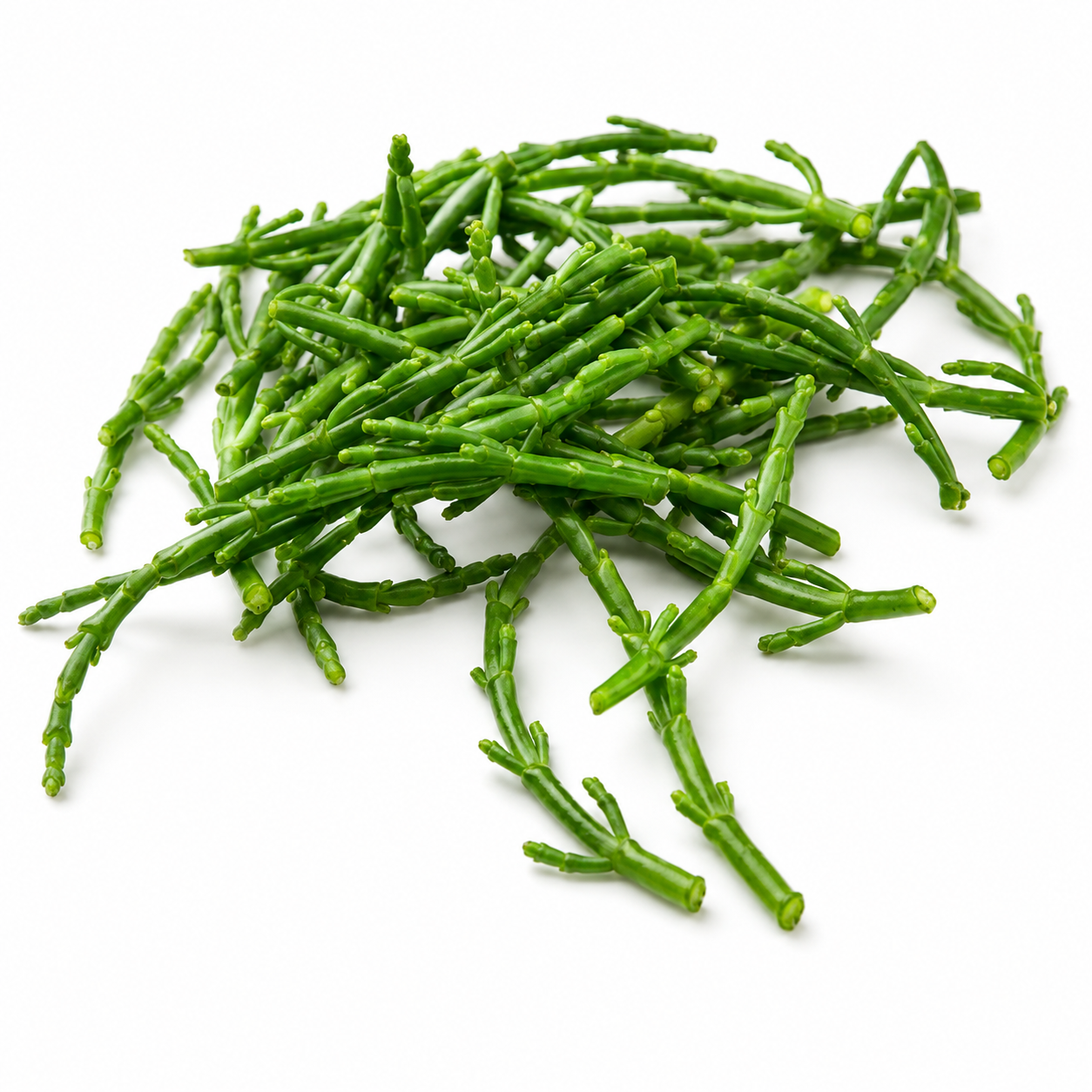 Samphire