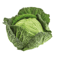Savoy Cabbage
