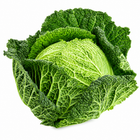 Savoy Cabbage