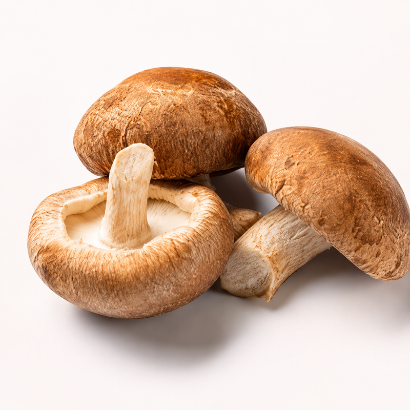 Shitake Mushroom