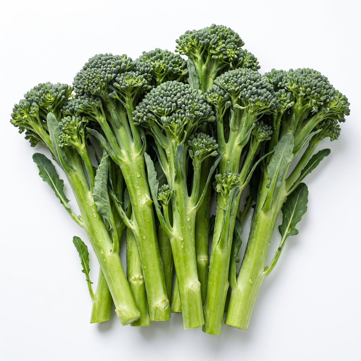 Tenderstem Broccoli