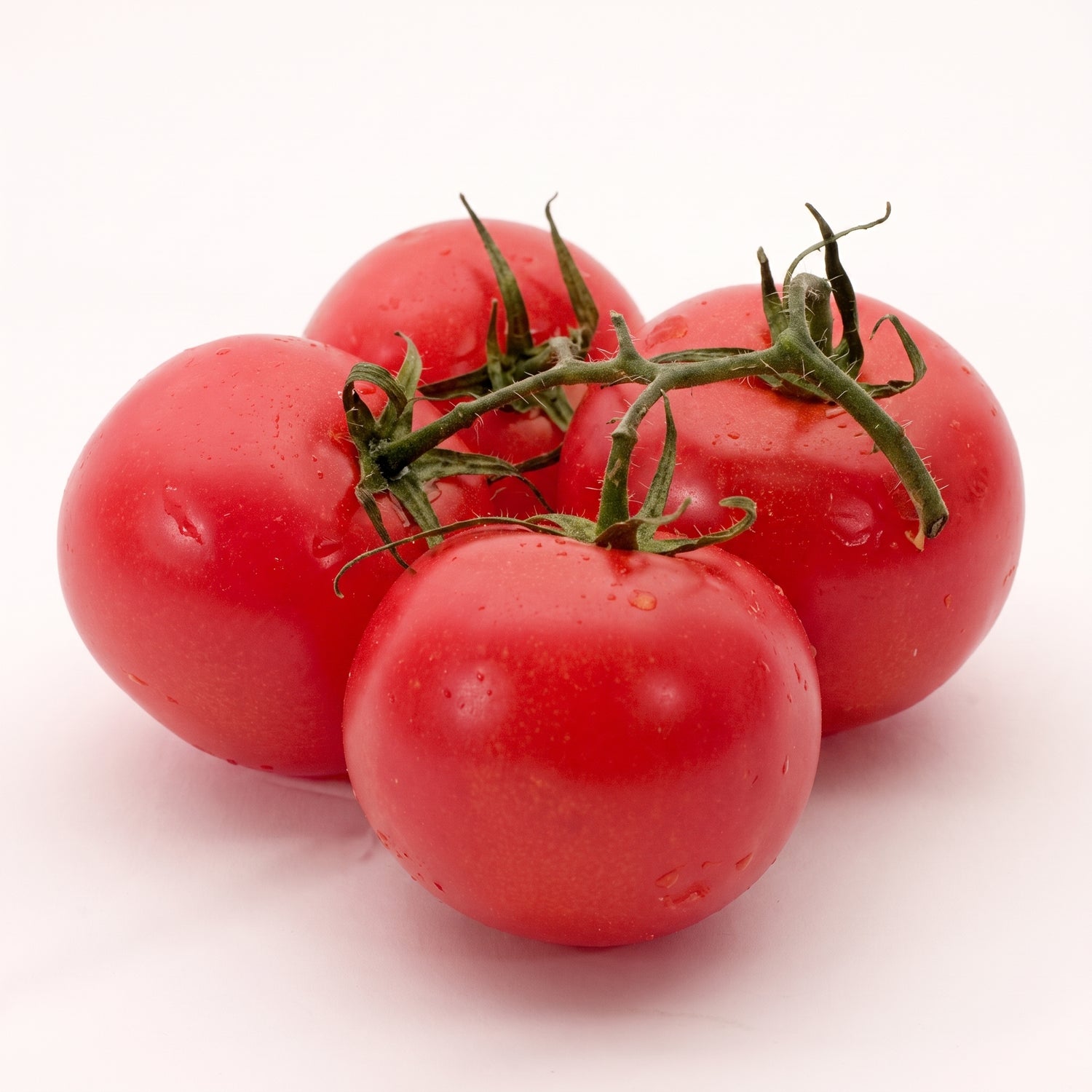 Tomatoes