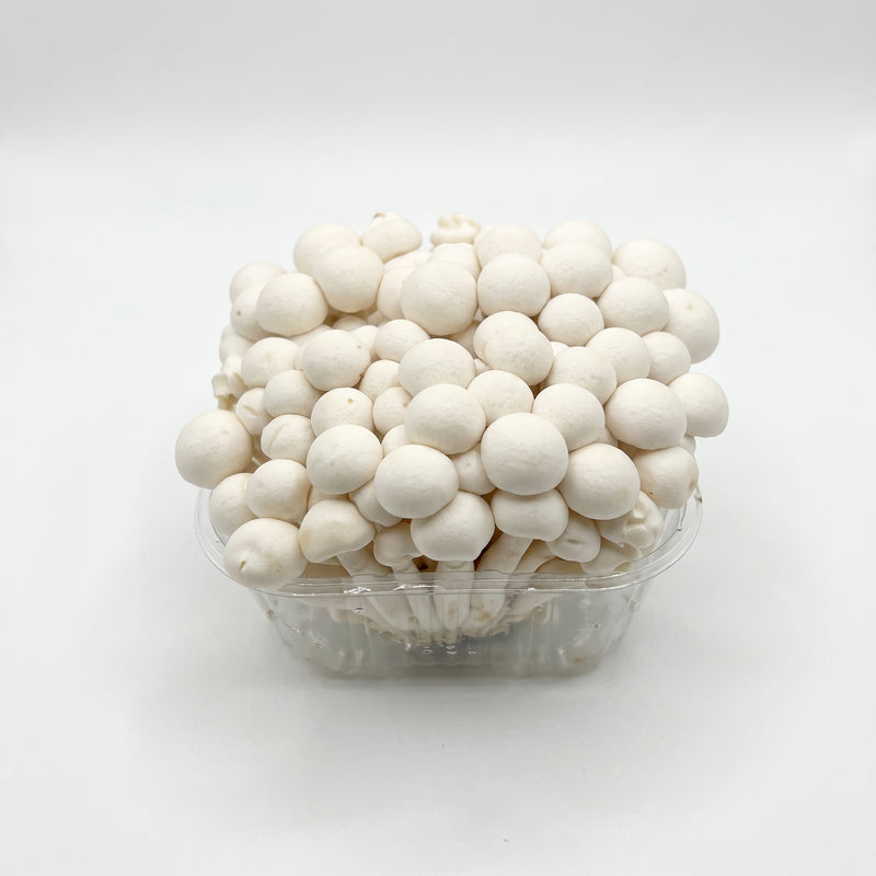 White Hon Shimeji