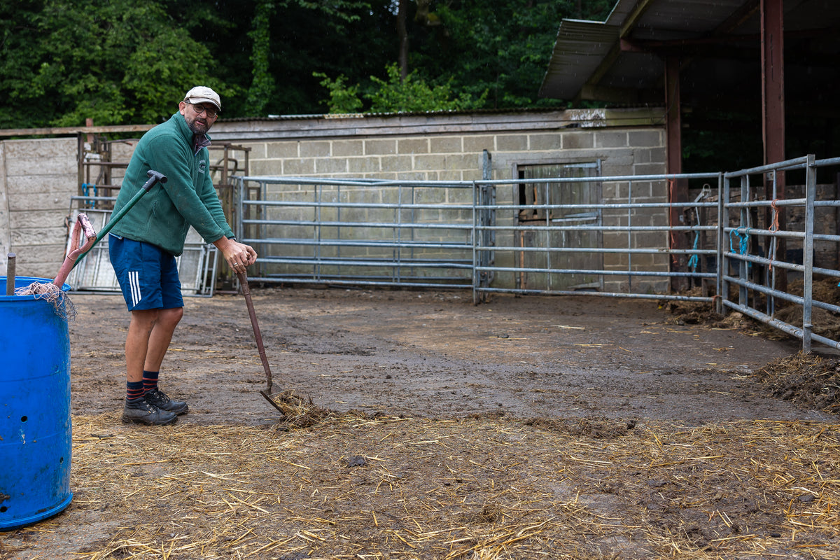 Burscombe Cliff Farm