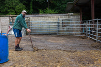 Burscombe Cliff Farm 
