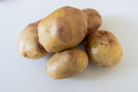 Sweet Potato