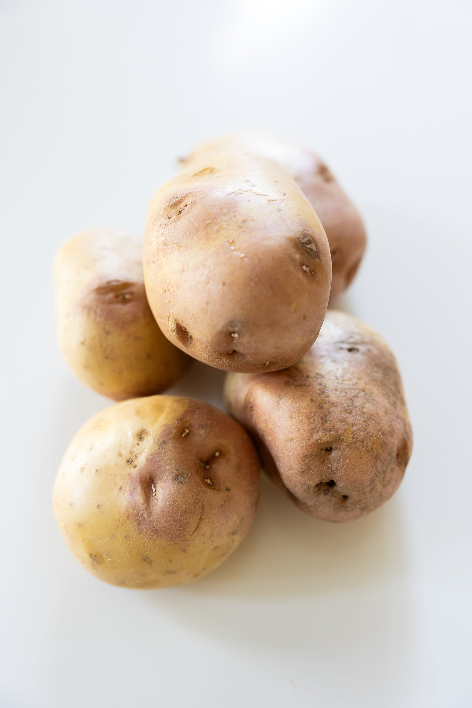 Sweet Potato