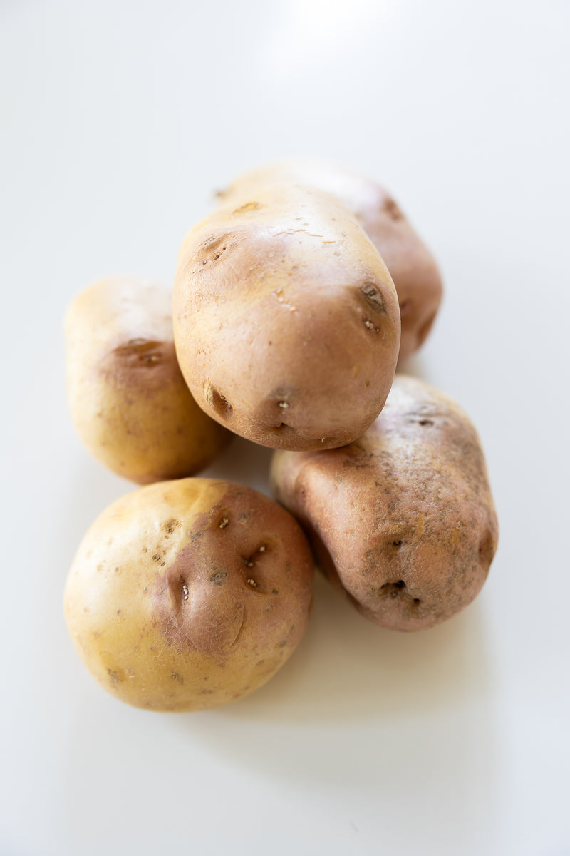 Sweet Potato