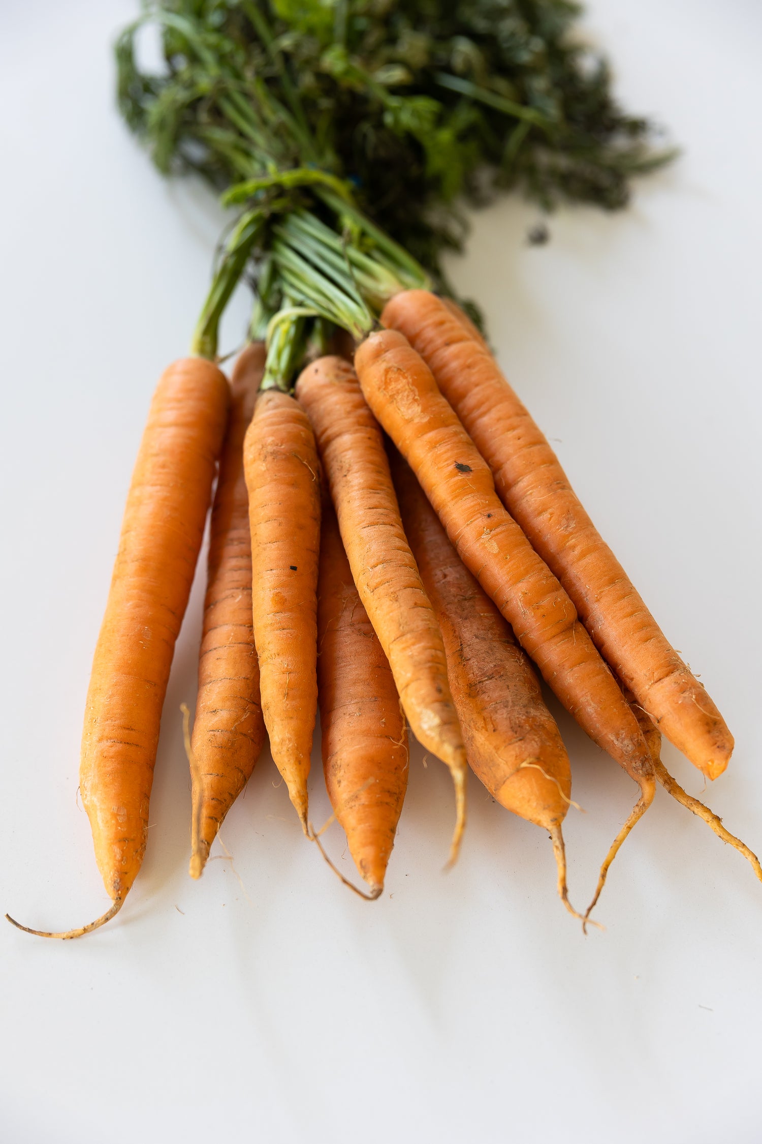 Bunched Carrots