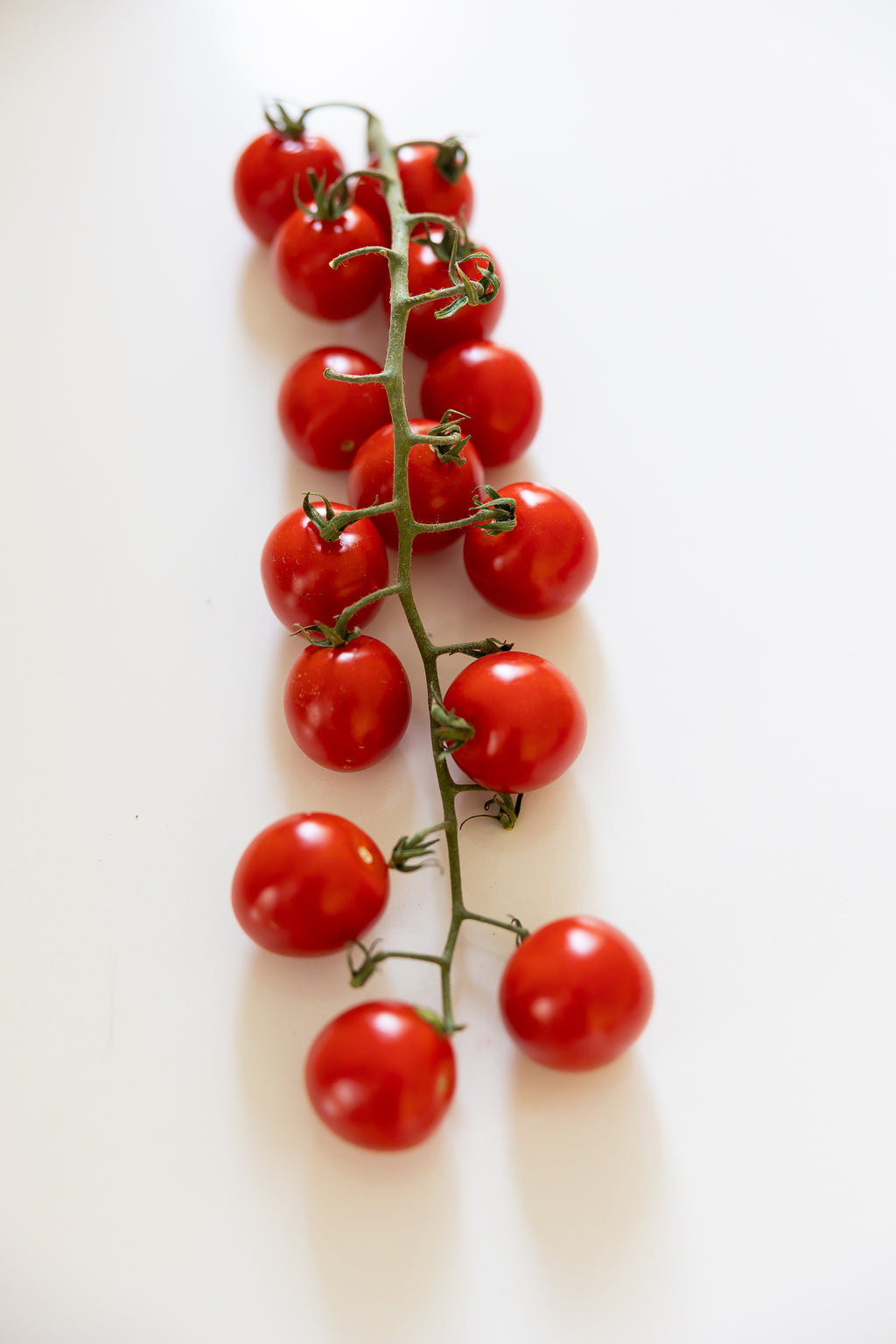 Cherry Vine Tomatoes