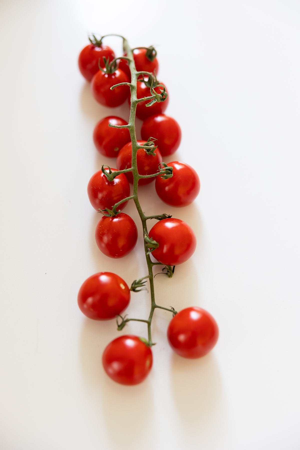 Cherry Vine Tomatoes