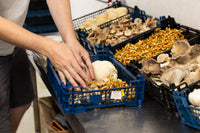 Owley Farm Mushrooms